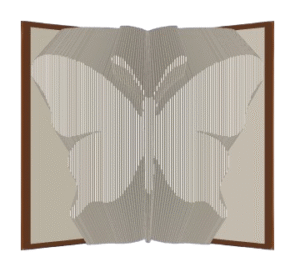 MMF Butterfly image