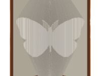 Combi Butterfly image
