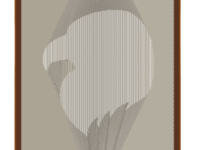 Combi Eagle Head image