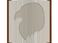 Eagle Head Image