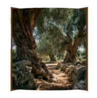 Gethsemane image