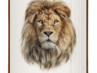 Lion image