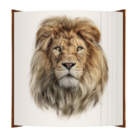 Lion image
