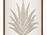 Aloe Vera image