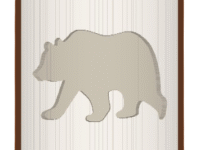 Bear image