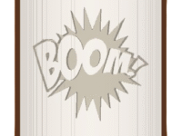 Boom image