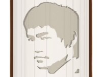 Bruce Lee image