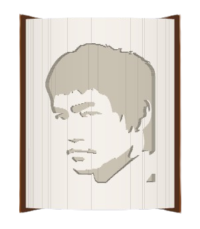 Bruce Lee image