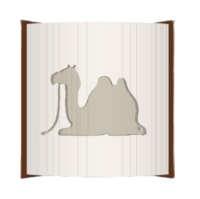 Camel image