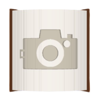 Camera image