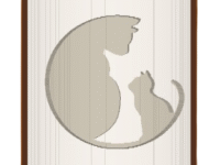 Cat and Kitten image