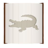 Crocodile image