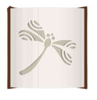 Dragonfly image
