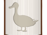 Duck image