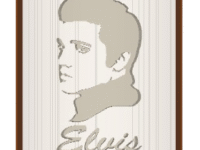 Elvis 2 image