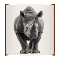 Fore Edge Black Rhinoceros image