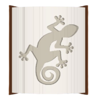 Gecko 2 image