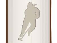 Hockey Player image