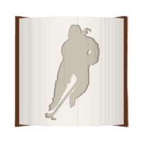 Hockey Player image