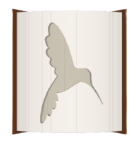Humming Bird image