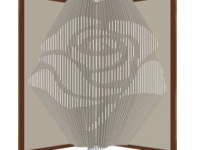 MMF Rose image