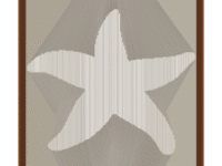 MMF Starfish image