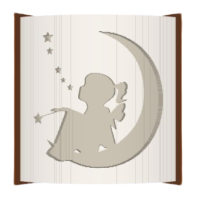 Moon Wish image