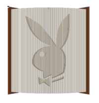 Multi Playboy image