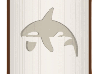 Orca 2 image
