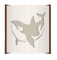 Orca image