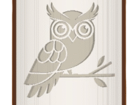 Owl image