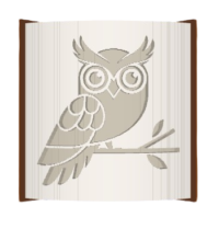 Owl image