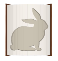 Rabbit image