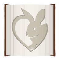 Rabbit Heart image