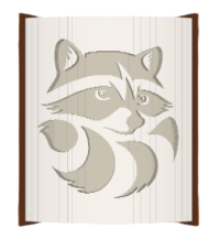 Racoon image