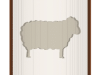 Sheep image