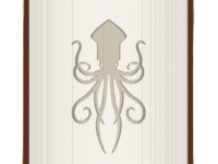 Squid image