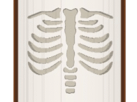X-Ray image