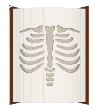 X-Ray image