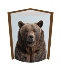 Fore Edge Grizzly Facing Forwards Image